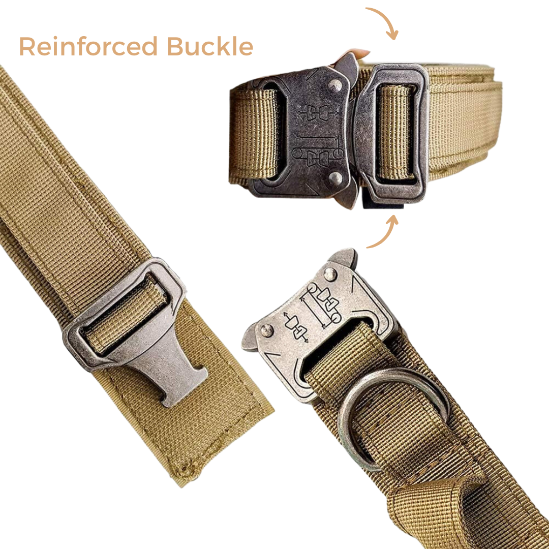Heavy-Duty Tactical Dog Collar