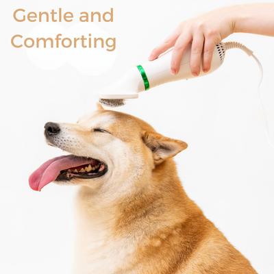 Furrific Dog Hair Dryer
