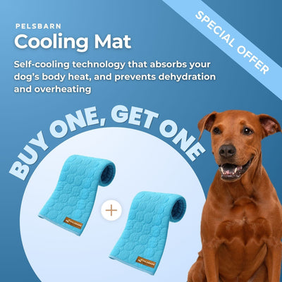 Pelsbarn Cooling Mat Bundle (B3G3)