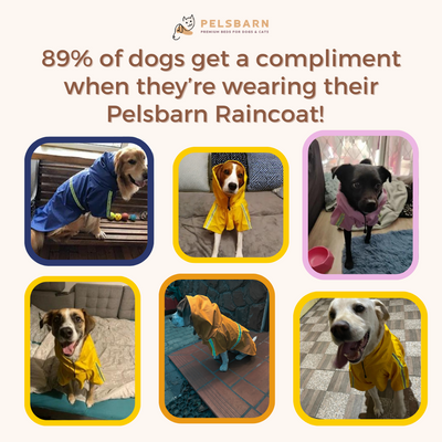 Pelsbarn Dog Raincoat