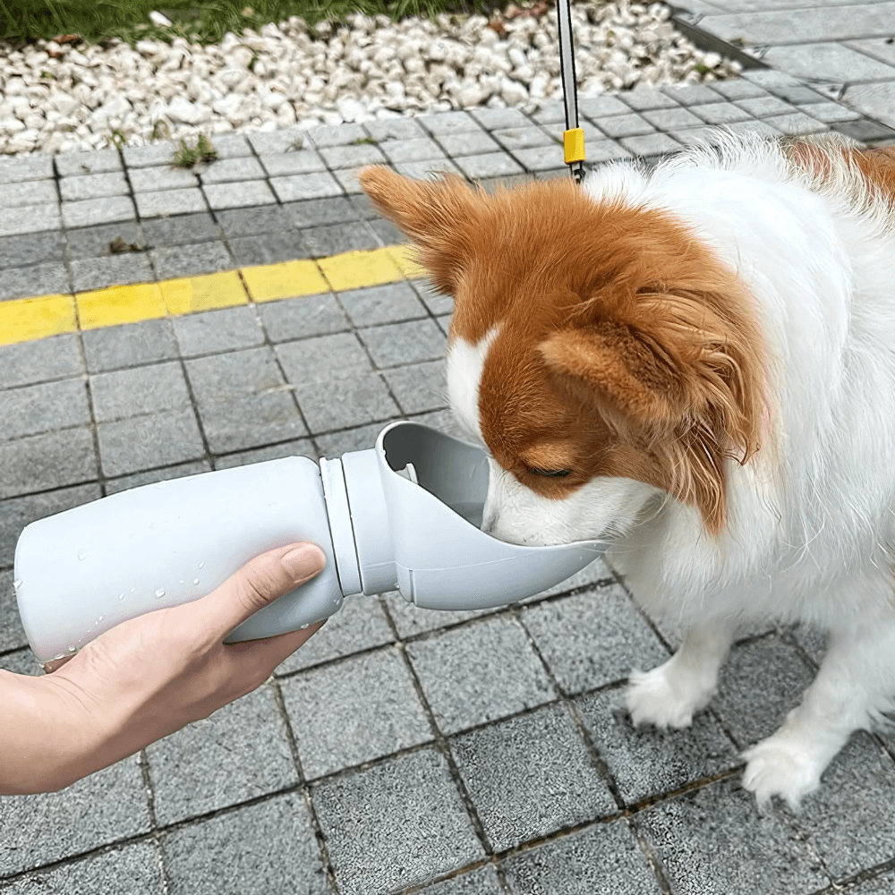 Foldable Dog Water Bottle