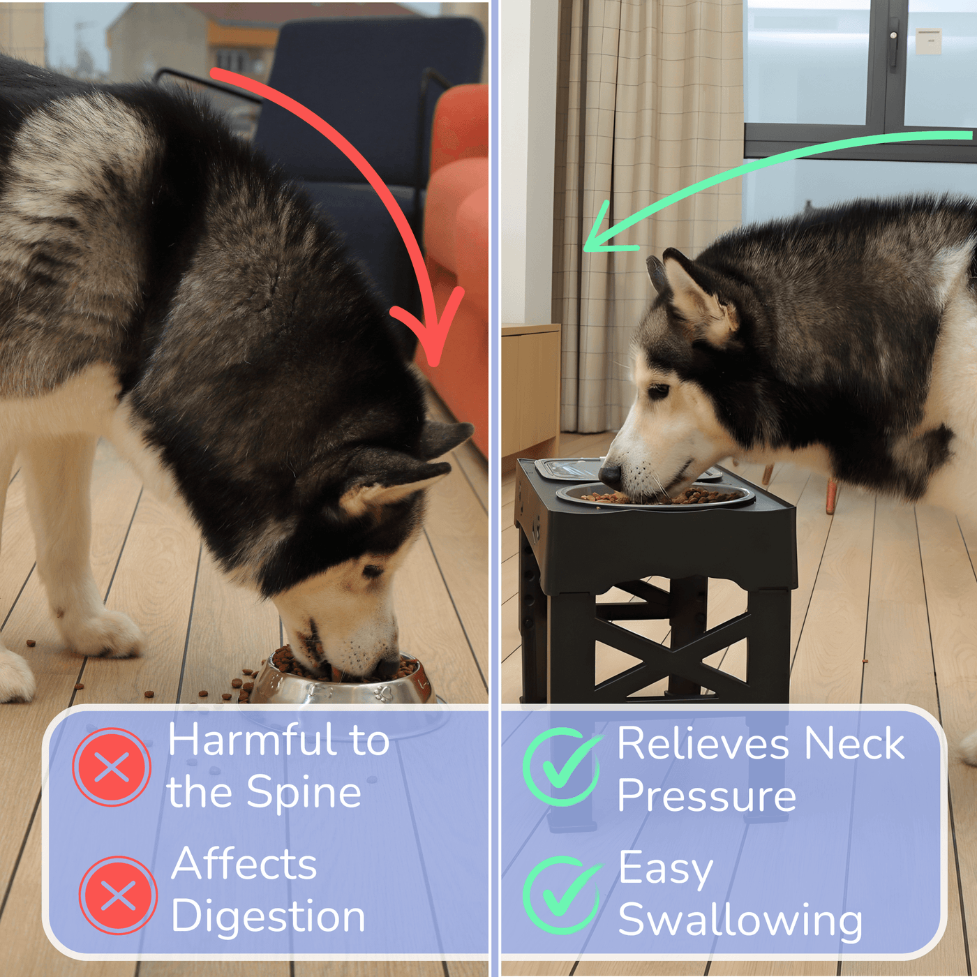 Elevated Dog Bowls