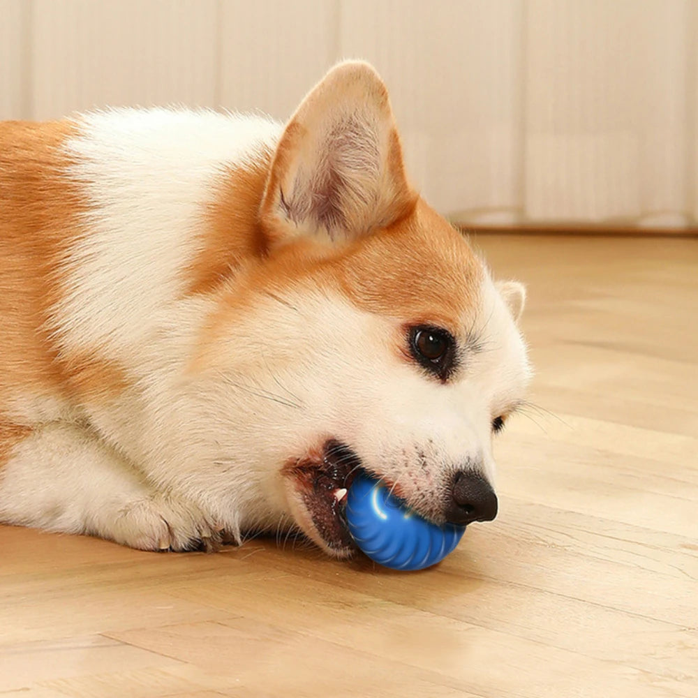 Smart Interactive Dog Toy 🐶