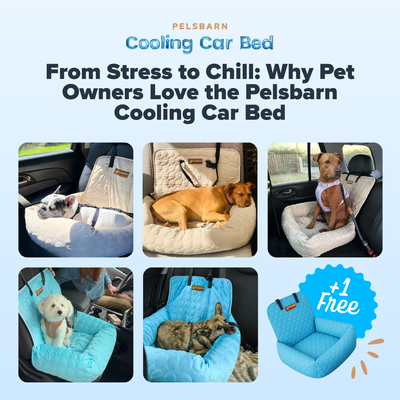 Pelsbarn Cooling Car Bed BOGO Deal