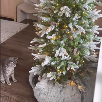 Cat Tunnel Bed for Under Christmas Tree