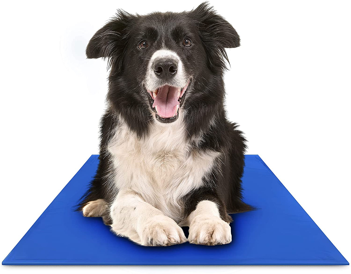 Cooling Mats for Pets