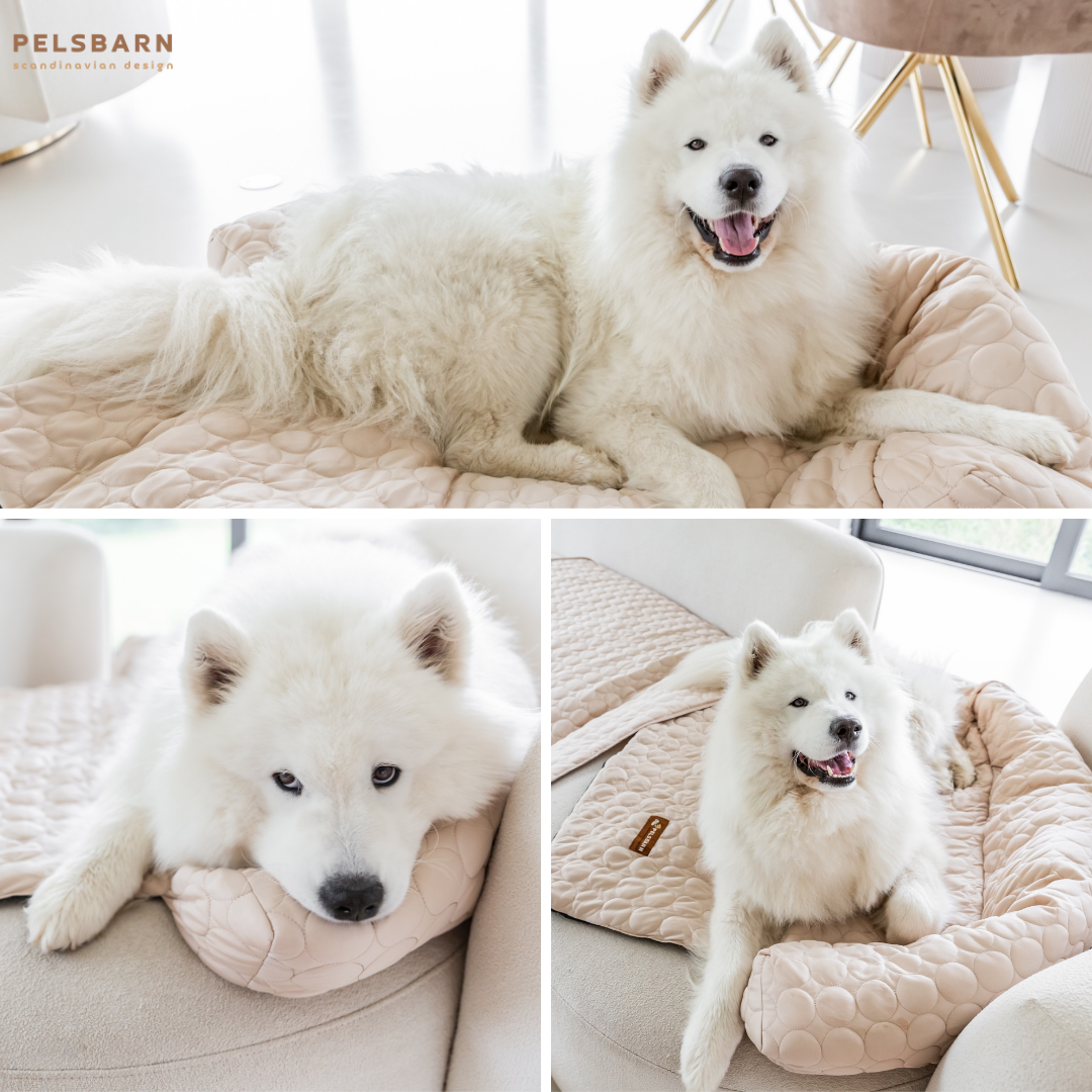 Pelsbarn Cooling Bed (4x more effective) + FREE Cooling Mat