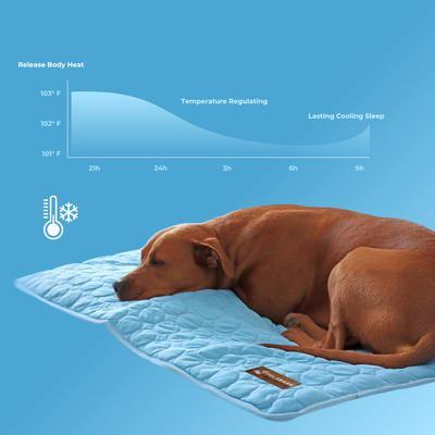 Pelsbarn Cooling Mat Bundle (B3G3)