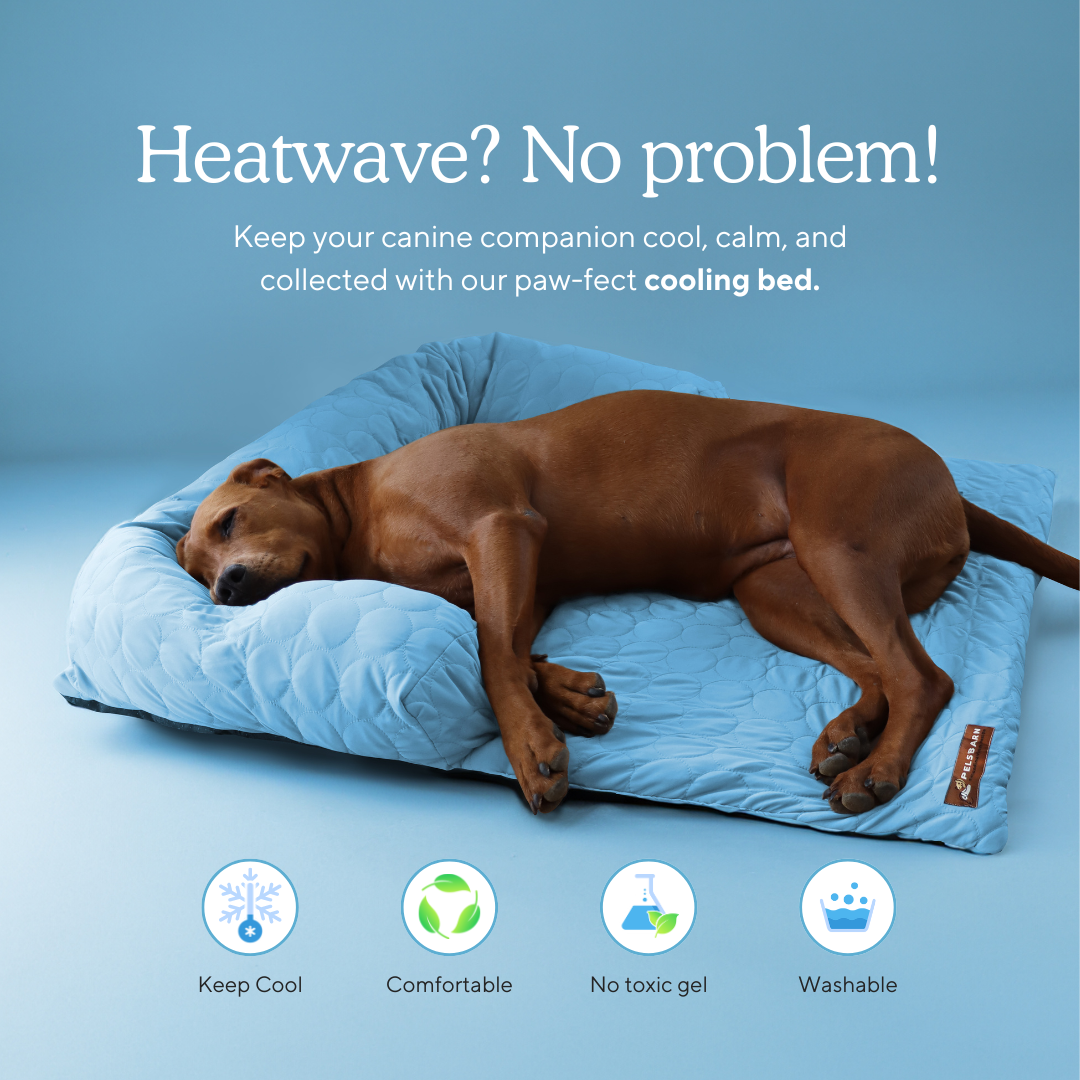 Pelsbarn Cooling Bed (4x more effective)