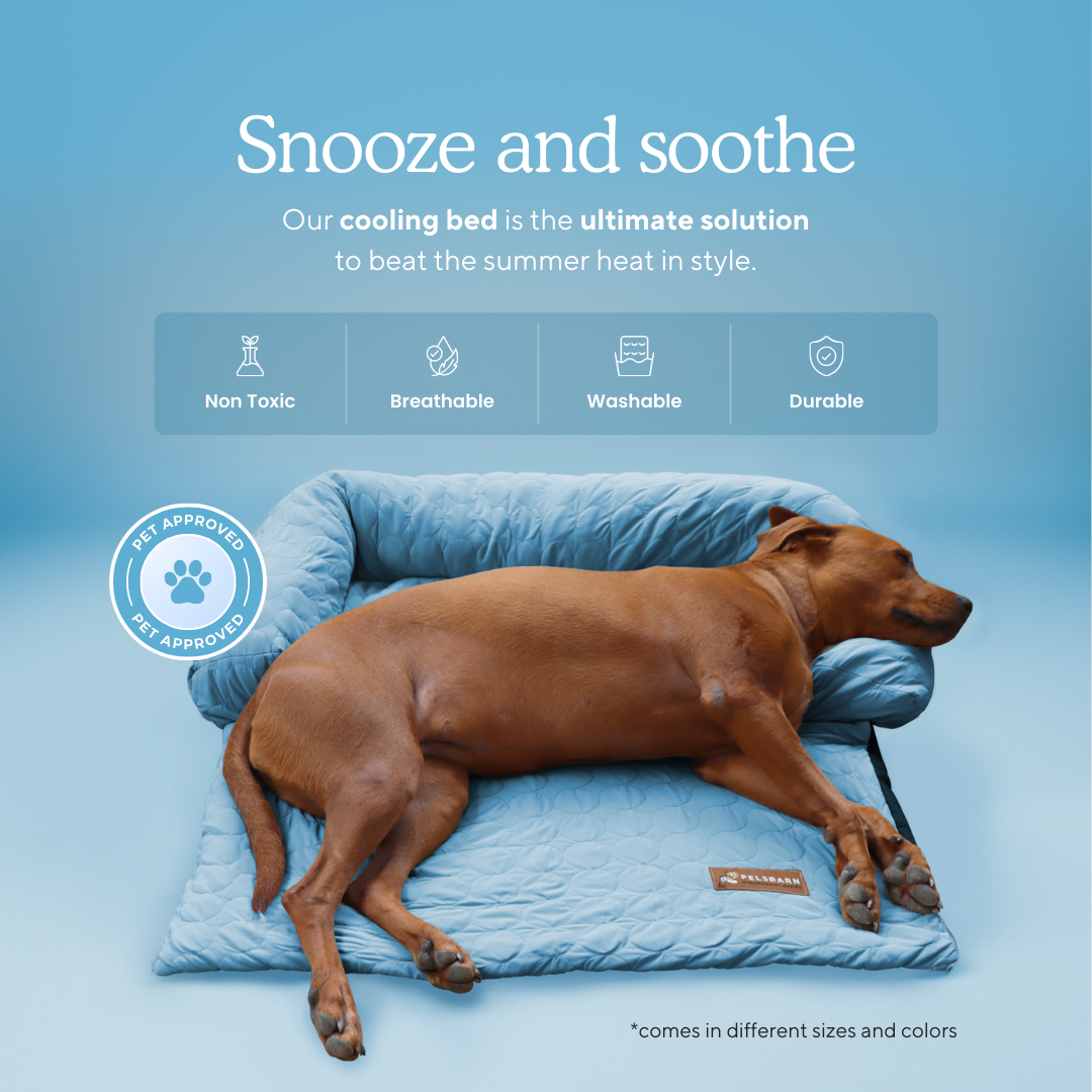 Pelsbarn Cooling Bed (4x more effective)