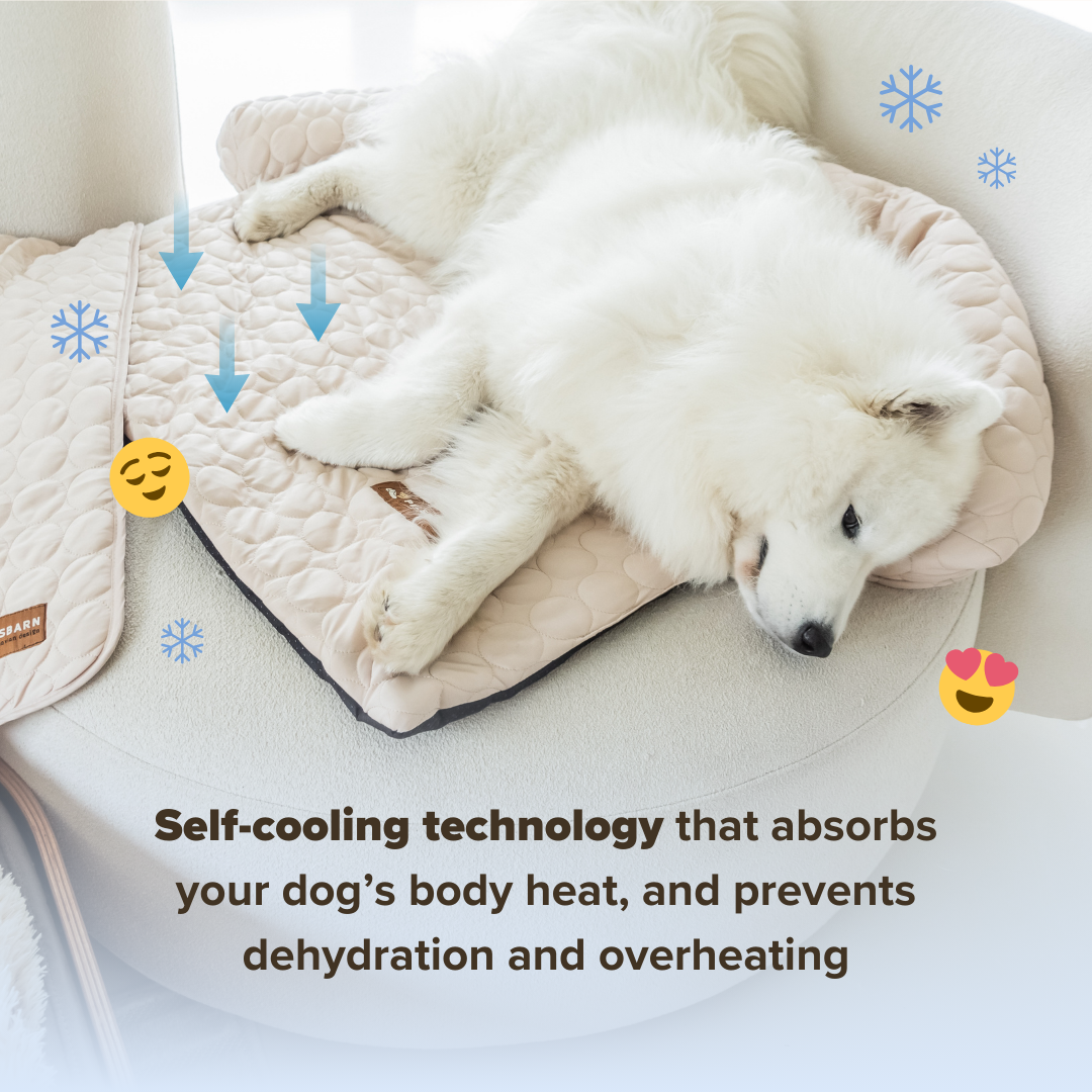 Pelsbarn Cooling Bed (4x more effective) + FREE Cooling Mat