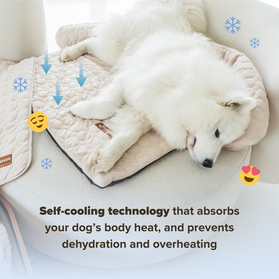 Pelsbarn Cooling Bed (4x more effective) + FREE Cooling Mat