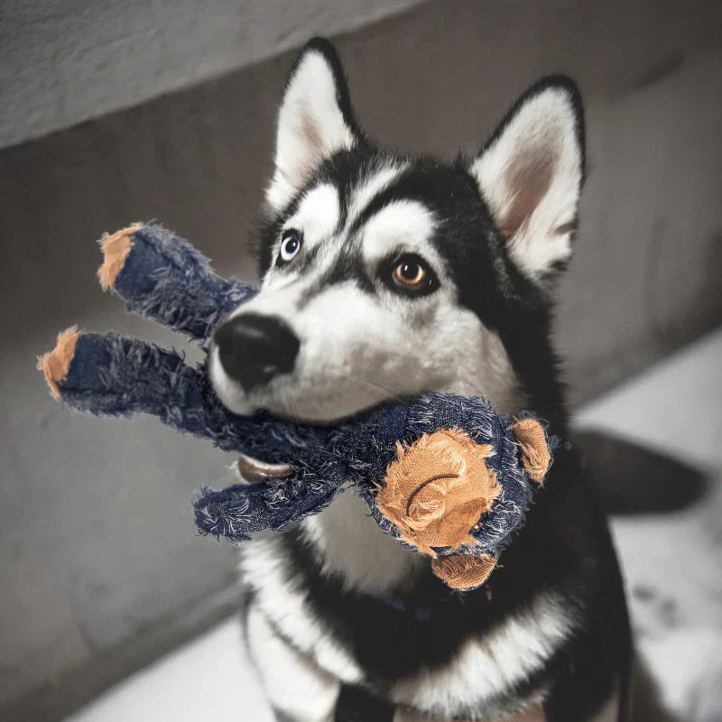 Indestructible & Interactive Bear Dog Toy For Aggressive Chewers