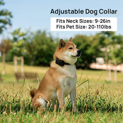 PetHey 3 in 1 Wireless Dog Fence F900Plus