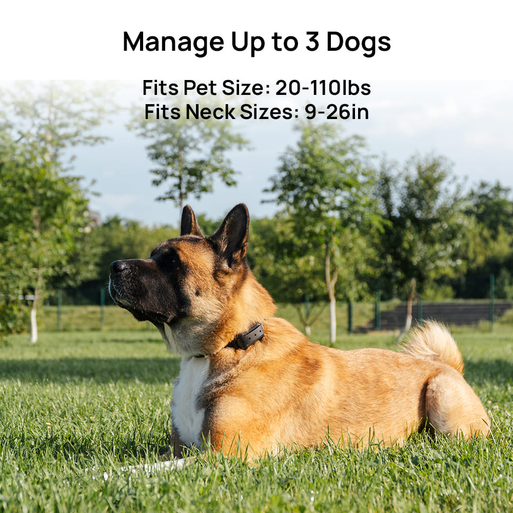 PetHey Wireless Dog Fence-F900
