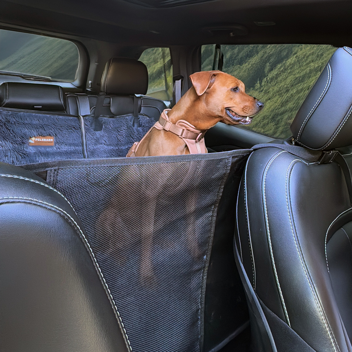 NEW: For Stress-Free, Cozy Car Rides
