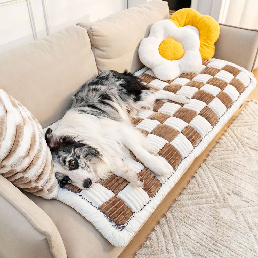 Pet-Friendly Couch Covers | Sofa Covers & Protector
