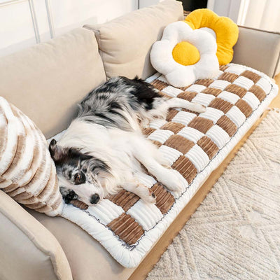 Pet-Friendly Couch Covers | Sofa Covers & Protector