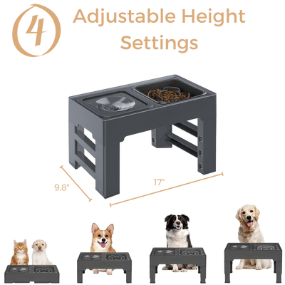 Elevated Slow Feeder with No Spill Dog Water Bowl