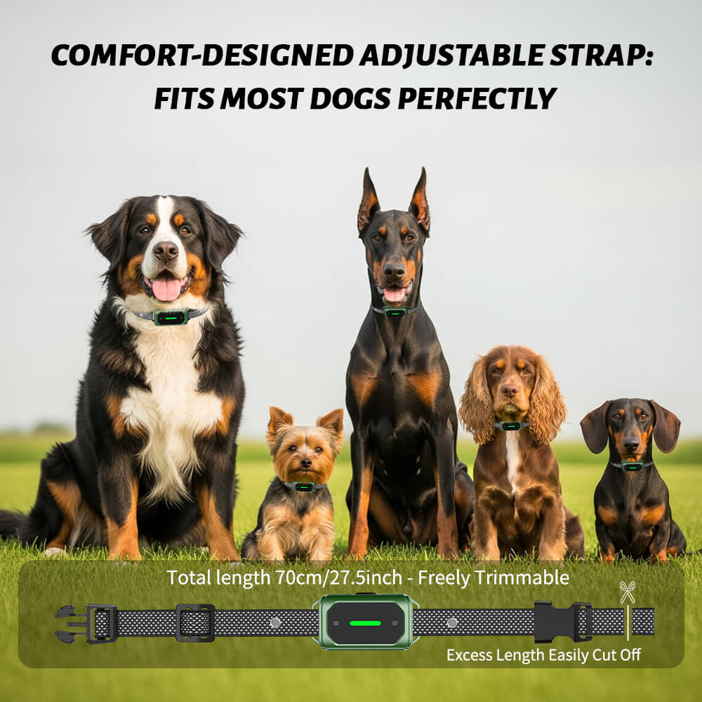 Masbrill Dog Training Collar with Remote – 2600Ft Range