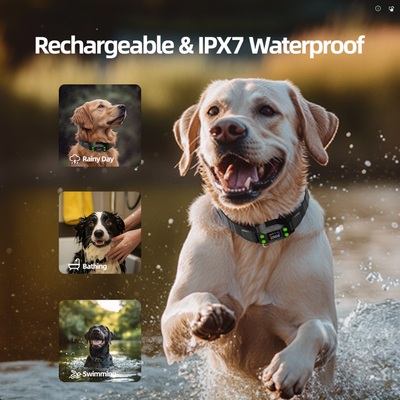PetHey GPS Wireless Dog Fence F830Plus