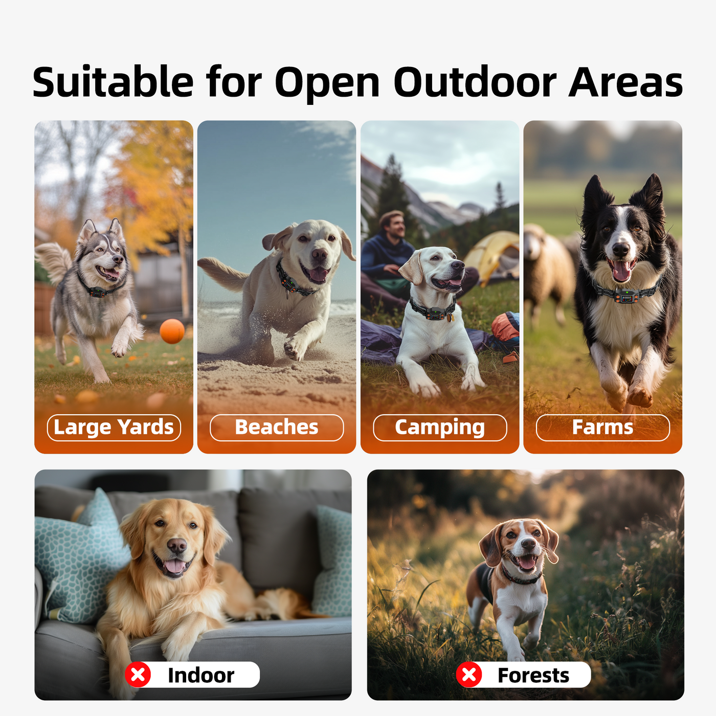 PetHey GPS Wireless Dog Fence F830