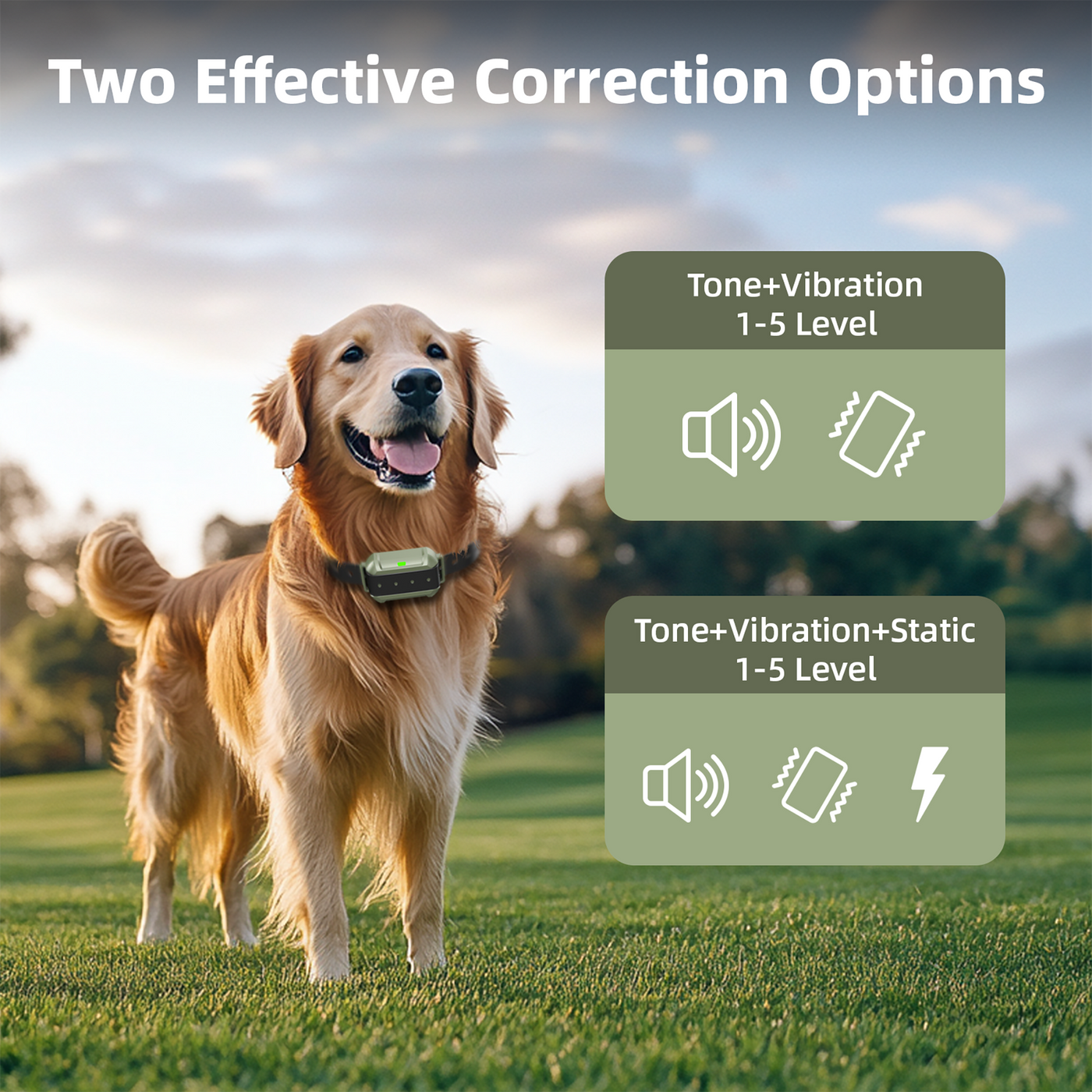 PetHey Wireless Dog Fence-F910