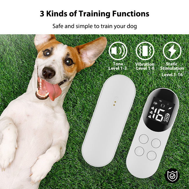 PetHey T200 Waterproof Remote Dog Training Collar