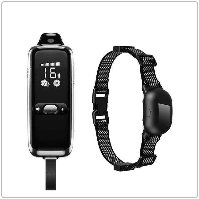 PetHey Remote Dog Training Collar T300