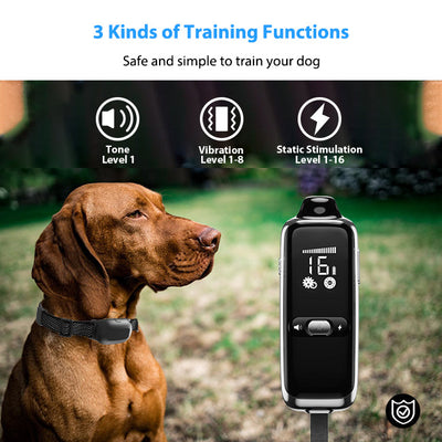 PetHey Remote Dog Training Collar T300