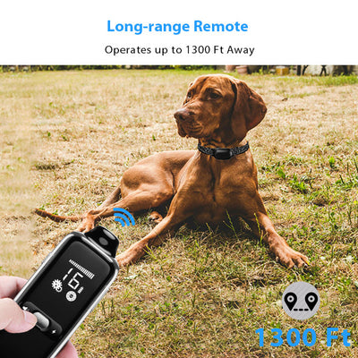 PetHey Remote Dog Training Collar T300