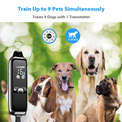 PetHey Remote Dog Training Collar T300