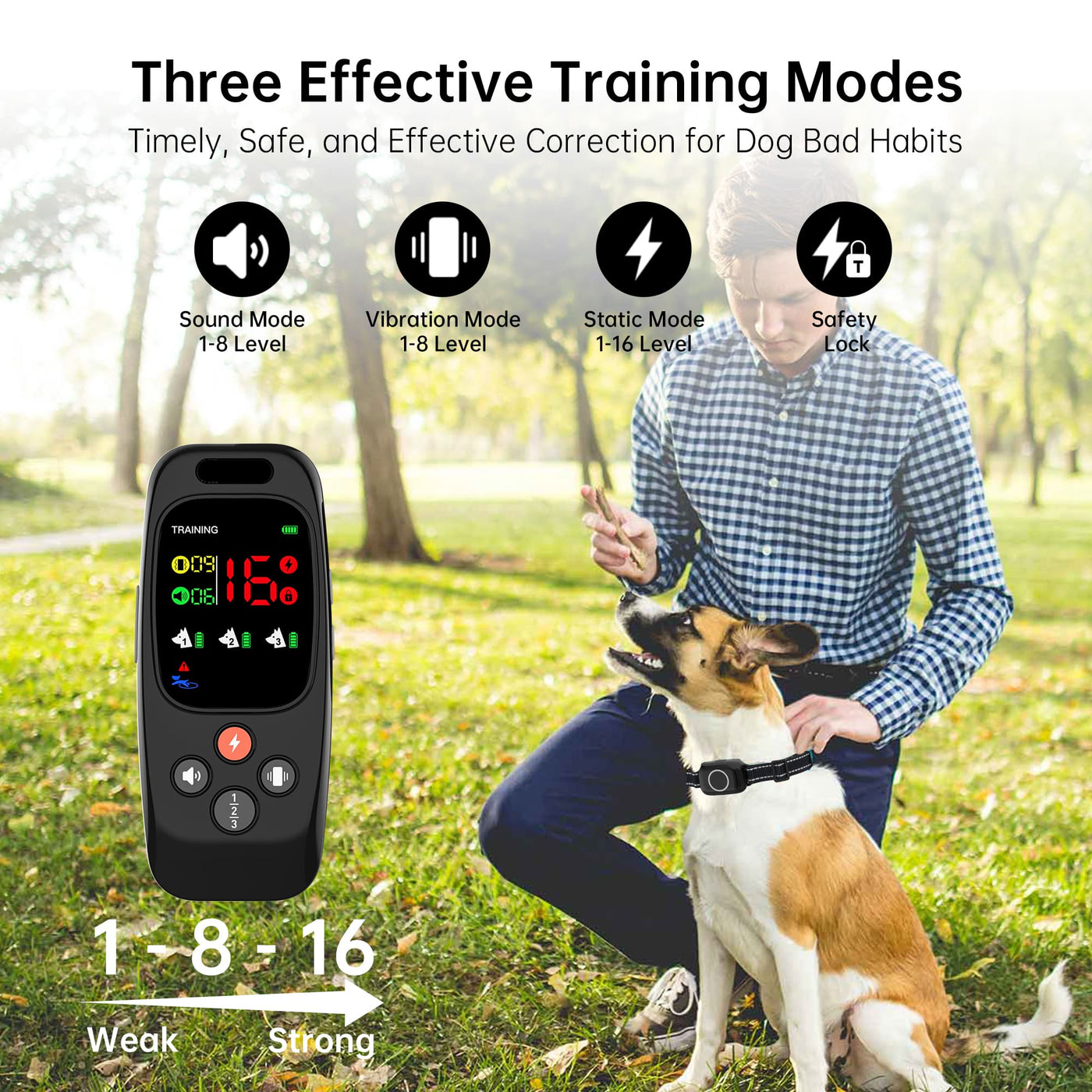 PetHey 2-in-1 Dog Training Collar-T800