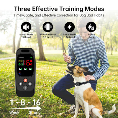 PetHey 2-in-1 Dog Training Collar-T800