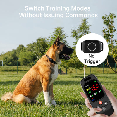 PetHey 2-in-1 Dog Training Collar-T800