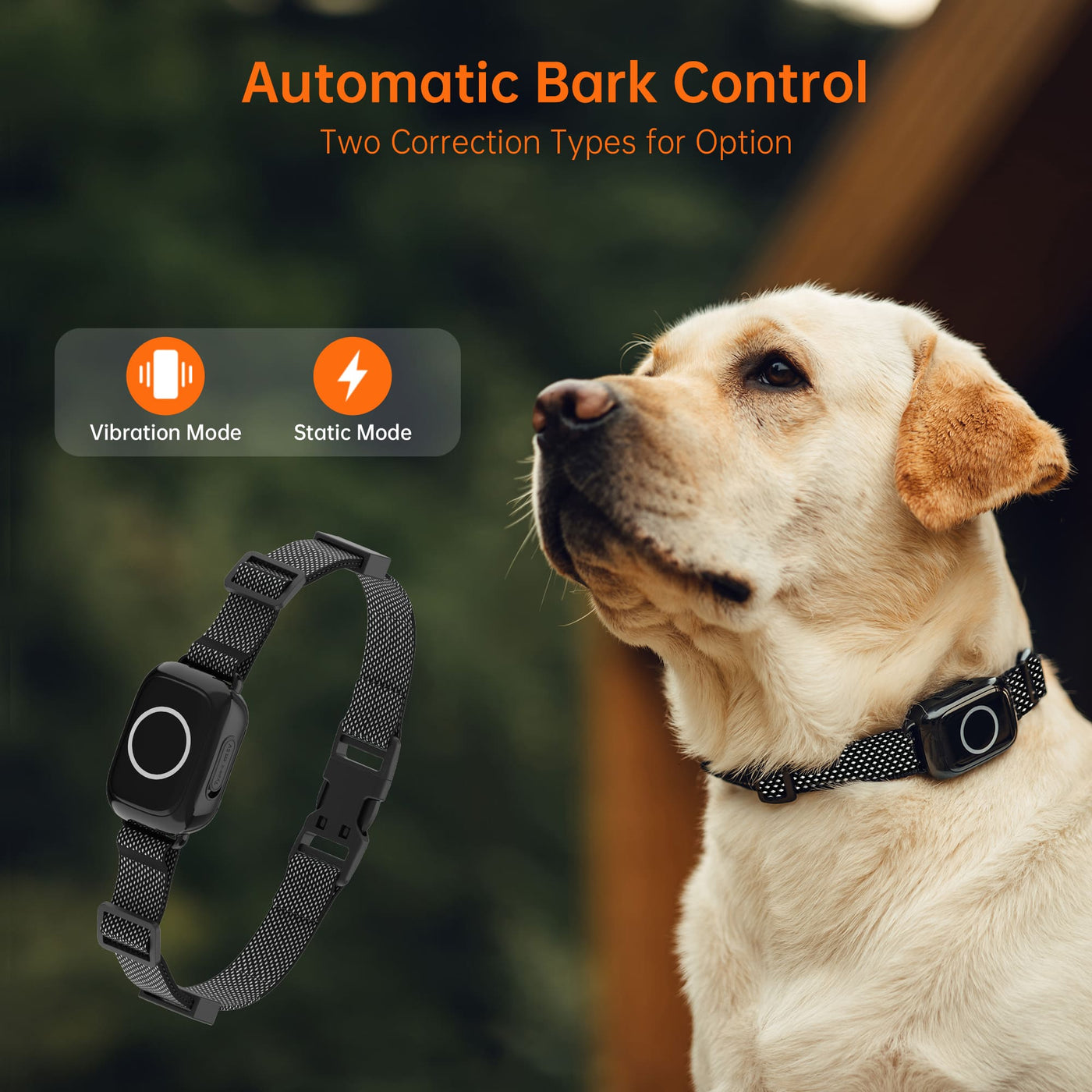 PetHey 4-in-1 Remote Dog Training Collar T800Plus