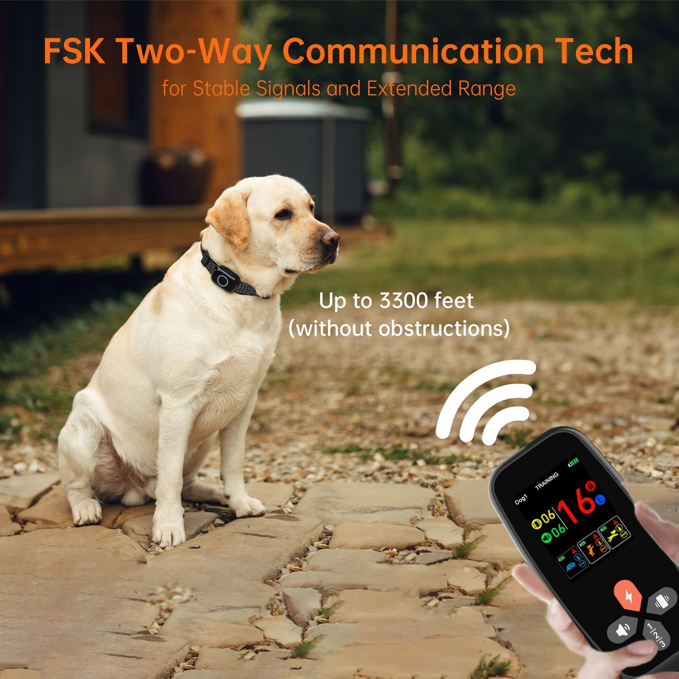 PetHey 4-in-1 Remote Dog Training Collar T800Plus