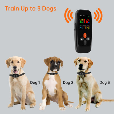 PetHey 4-in-1 Remote Dog Training Collar T800Plus