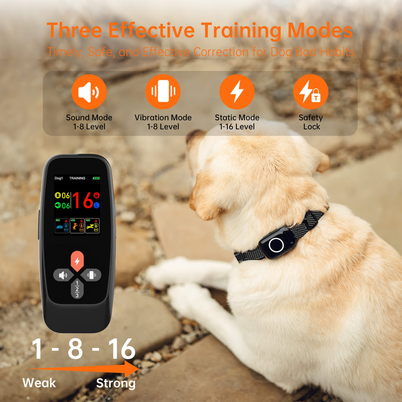 PetHey 4-in-1 Remote Dog Training Collar T800Plus
