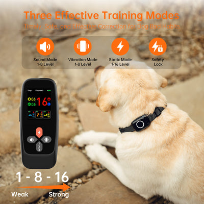 PetHey 4-in-1 Remote Dog Training Collar T800Plus