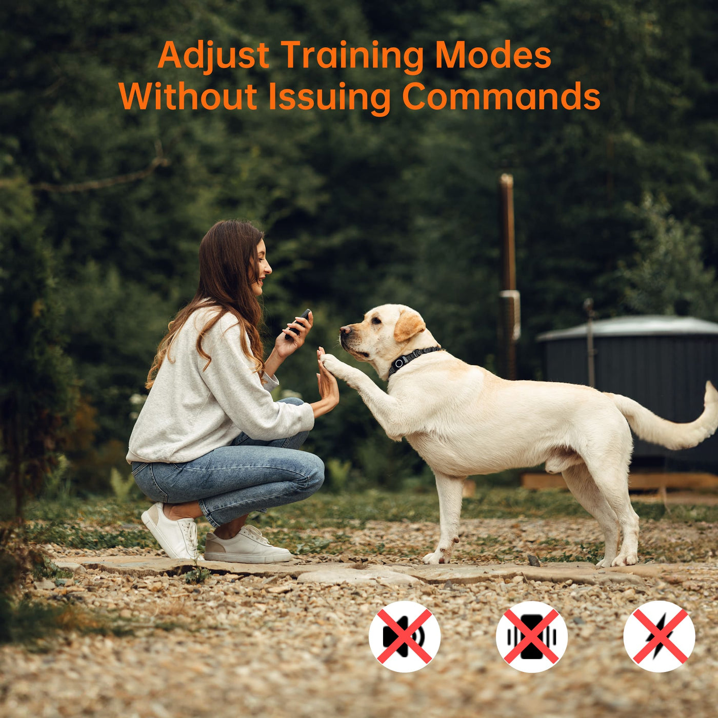 PetHey 4-in-1 Remote Dog Training Collar T800Plus