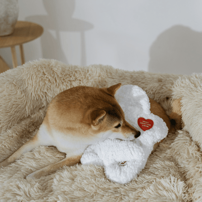 The ''I miss you'' Cozy Companion