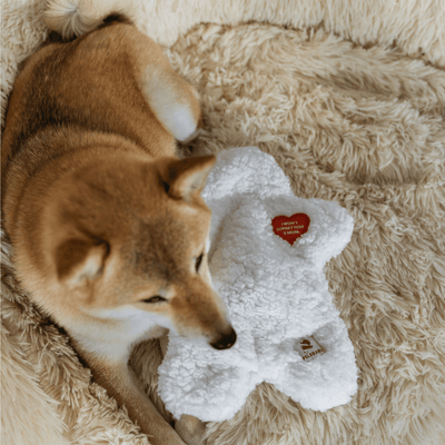 The ''I miss you'' Cozy Companion