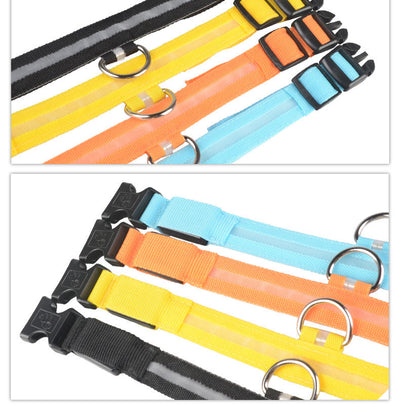 LED Light-Up Dog Safety Collar