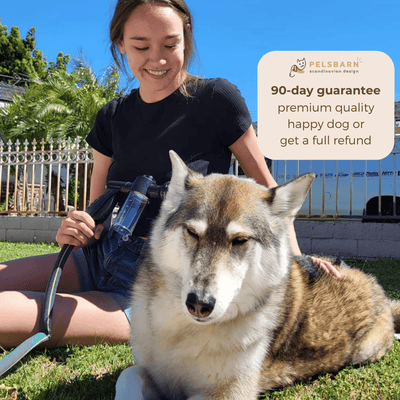 Quick-Wash Shampoo Sprayer