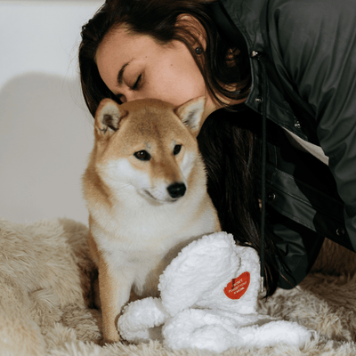 The ''I miss you'' Cozy Companion