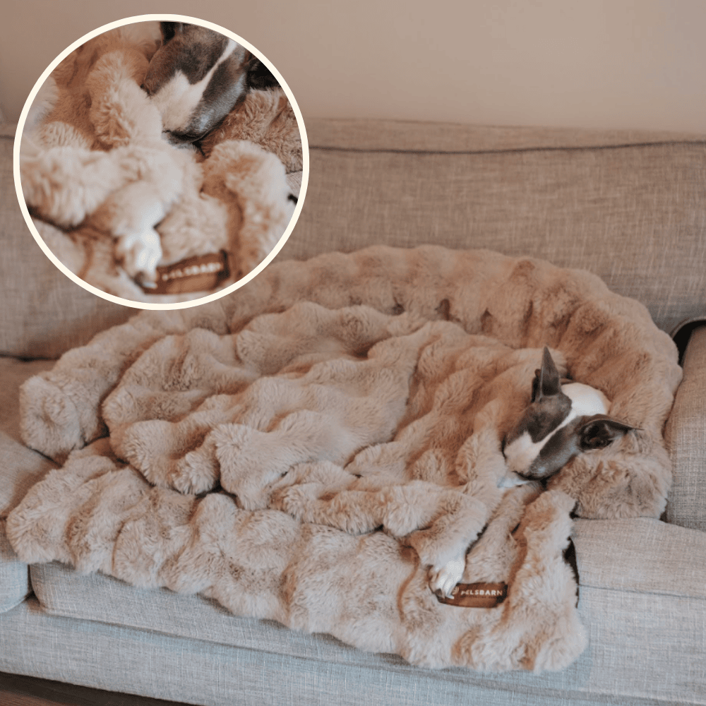 Luxurious Self-Warming Calming Blanket (BOGO)