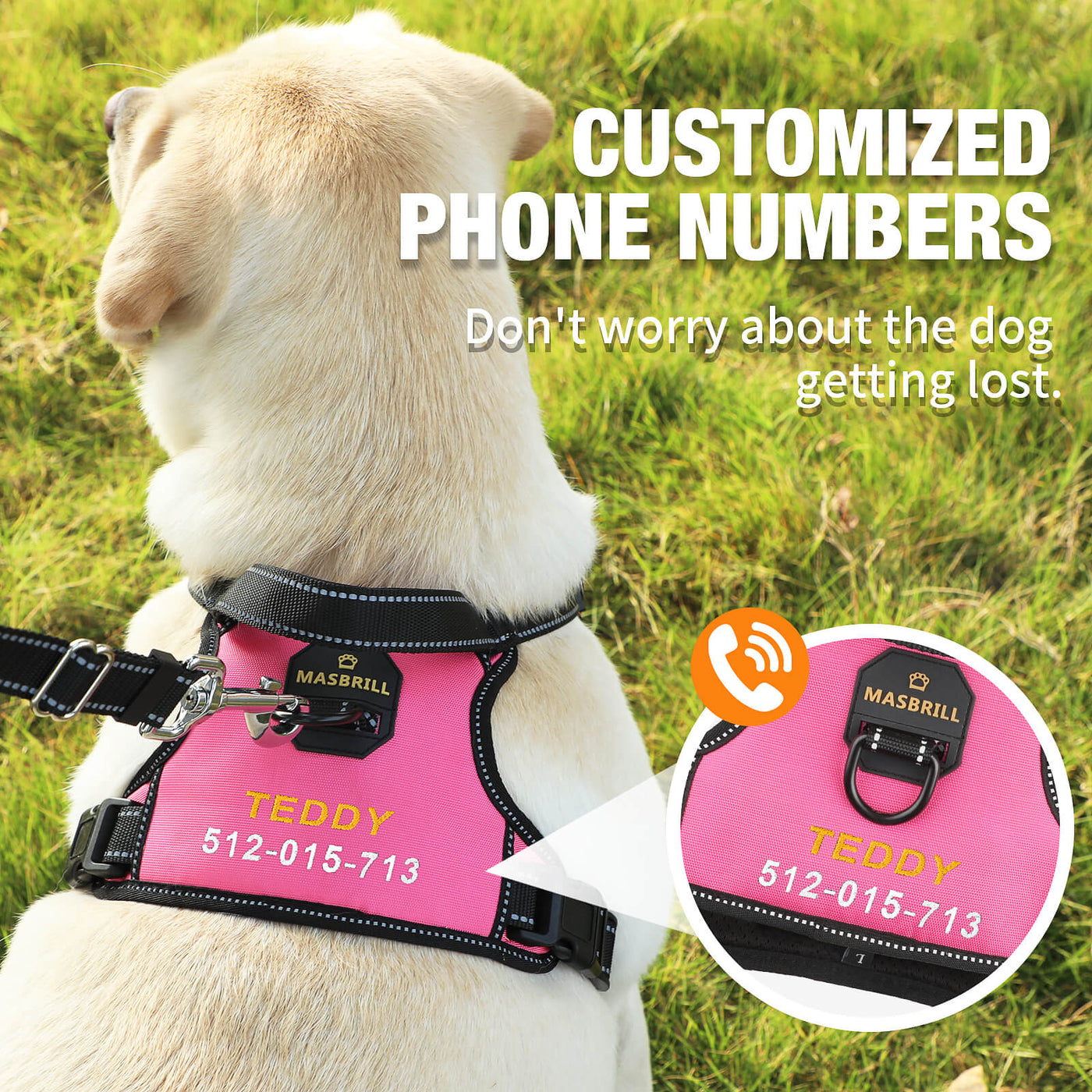 MASBRILL Custom Dog Harness with name