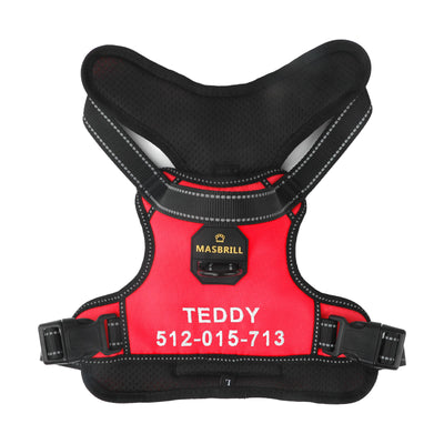 MASBRILL Custom Dog Harness with name