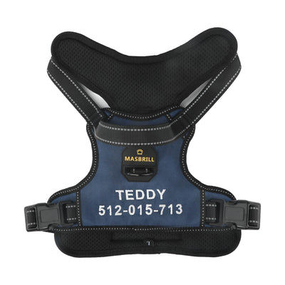 MASBRILL Custom Dog Harness with name